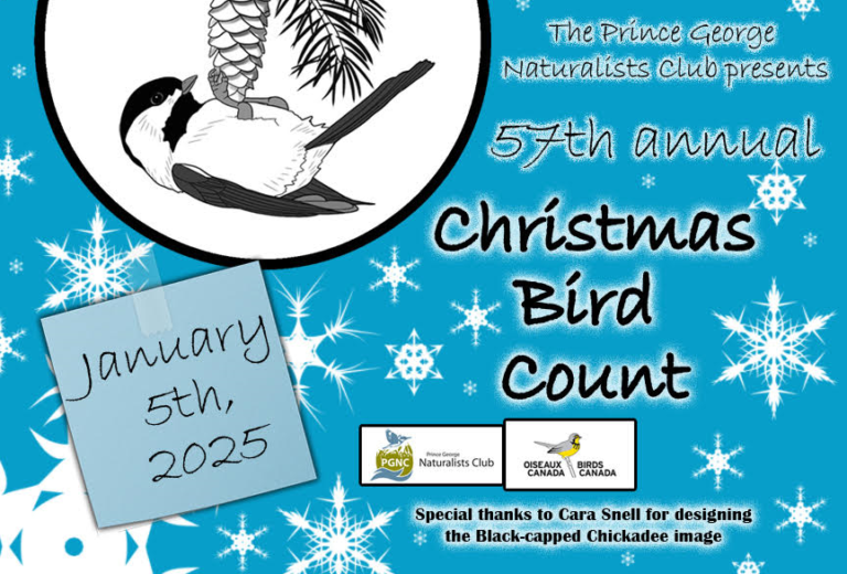 PGNC News & Notes 2024-12-26