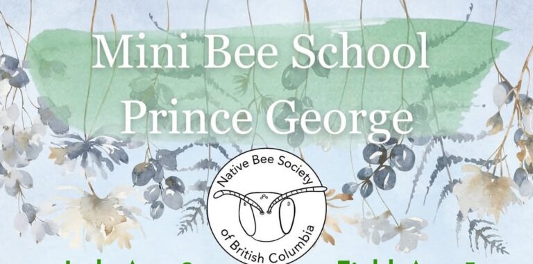 PGNC News & Notes 2025-06-17